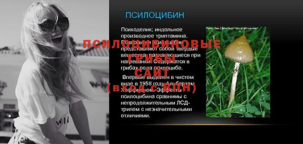 гидра Богородск