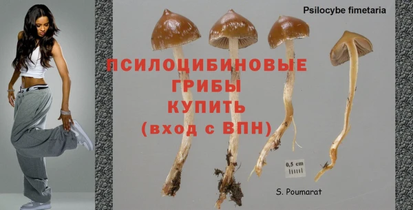 спайс Богородицк