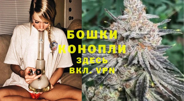 спайс Богородицк
