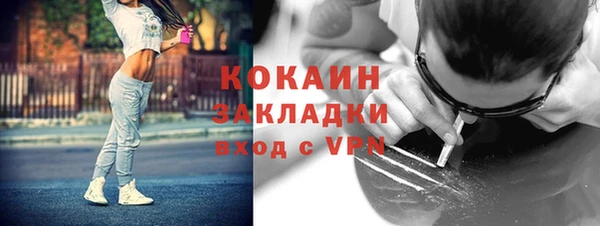 гидра Богородск