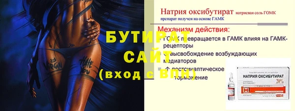 гидра Богородск