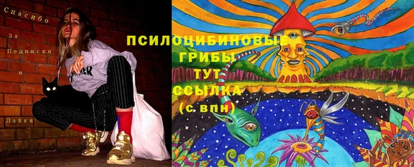 гидра Богородск