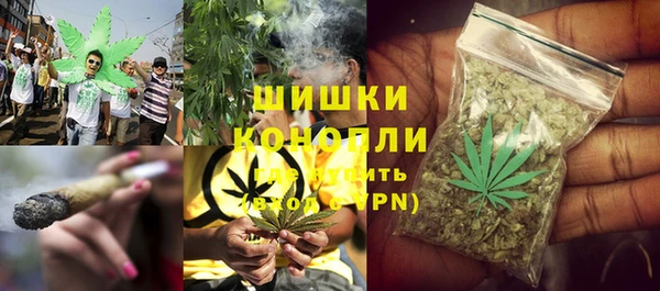 спайс Богданович