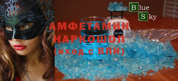гидра Богородск