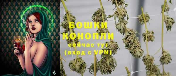 гидра Богородск