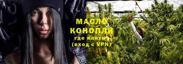 гидра Богородск