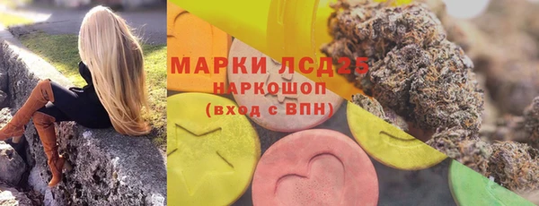 спайс Богданович