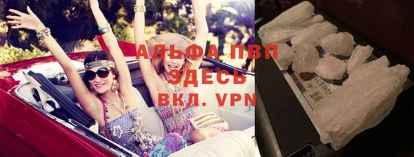 спайс Богданович