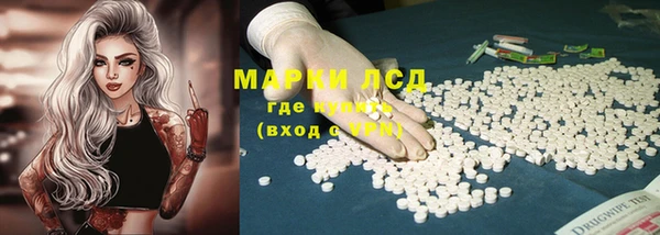 спайс Богданович