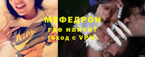 гидра Богородск