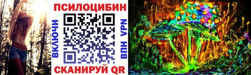 Купить где  Шахунья  Псилоцибиновые грибы ЛСД 